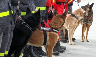 Zura și Akim, vor munci alături de voluntarii români pentru a găsi victimele prinse sub dărâmături în cutremurul din Turcia