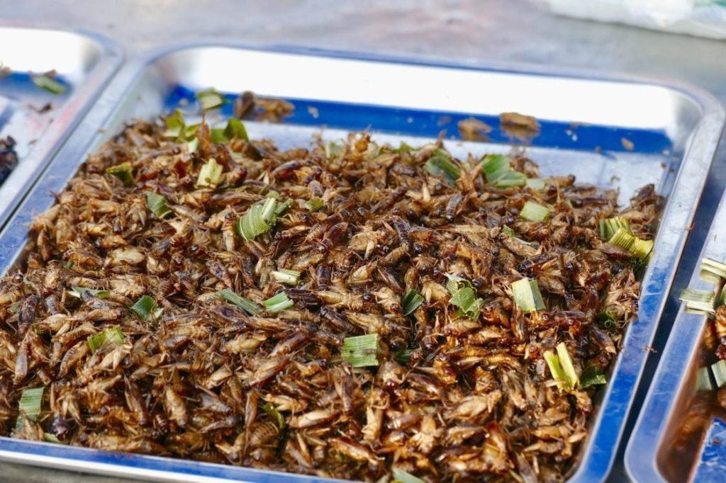 Daea: "Trebuie să păstrăm patrimoniul gastronomic al României. Nu ne plac greierii și lăcustele. Să fim serioşi, ca să faci o pâine îţi trebuie un vagon"