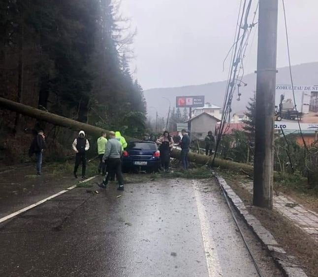 Brad căzut pe o mașină, pe DN1, în Azuga. Două persoane, transportate la spital
