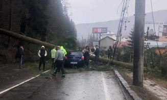 Brad căzut pe o mașină, pe DN1, în Azuga. Două persoane, transportate la spital