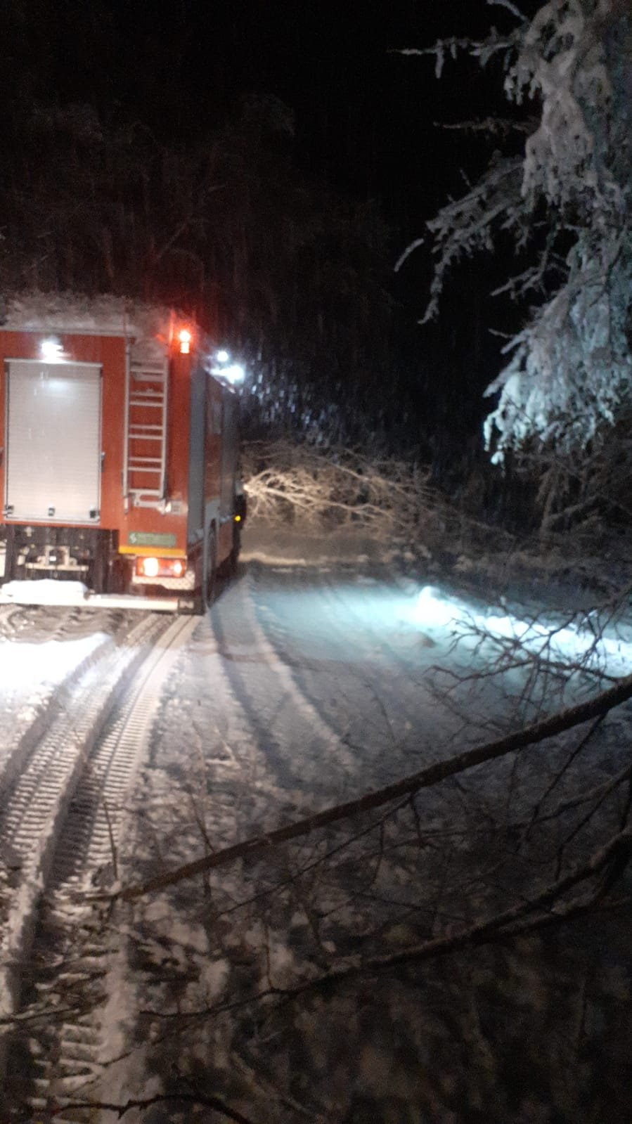 Viscolul și ninsoarea au făcut ravagii la Cluj. Zeci de arbori s-au rupt și au căzut pe carosabil