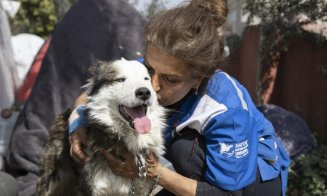 Scos în VIAŢĂ de sub dărâmături, la 23 de zile de la cutremurul din Turcia