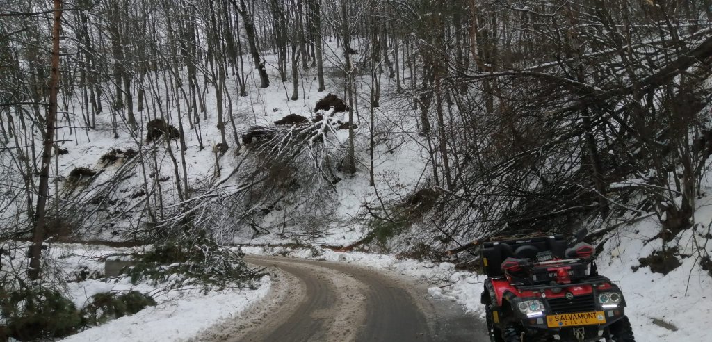 Bine de știut! Traseele din zona lacului Tarnița sunt închise