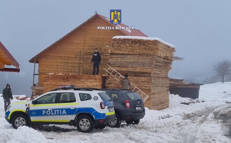 Lovitură grea pentru mafia lemnului din Cluj. Polițiștii au confiscat sume uriașe de bani și material lemnos