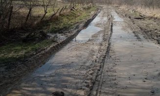Cu noroiul până în gât pe o uliţă din Cluj: "Cine nu are maşină cum poate trece pe acolo? Cu catarige!?"