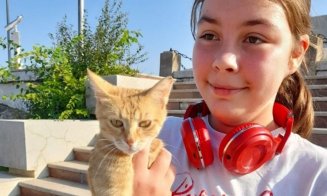 Adolescenta de 14 ani dispărută 5 zile a urmat „Pisicile războinice” aproape 900 de km! Confuzia dintre REAL şi  IMAGINAR