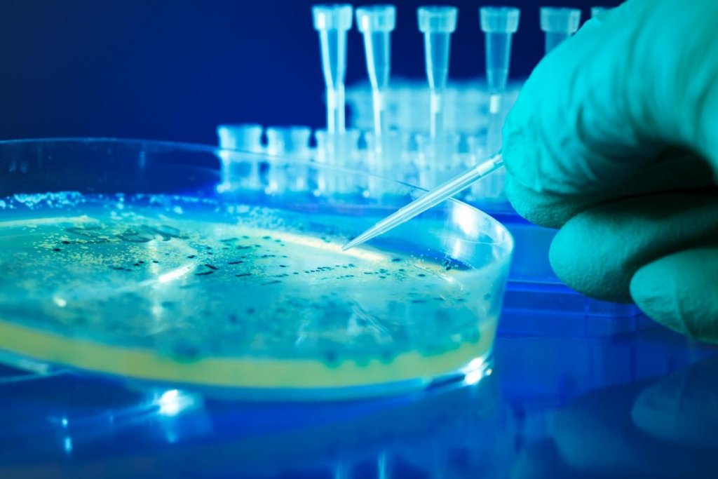 Medicii trag un semnal de alarmă! Două bacterii periculoase pentru om nu mai răspund la antibiotice