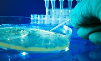 Medicii trag un semnal de alarmă! Două bacterii periculoase pentru om nu mai răspund la antibiotice