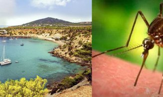 Alertă de febră Denga într-una dintre cele mai populare destinații turistice din Europa
