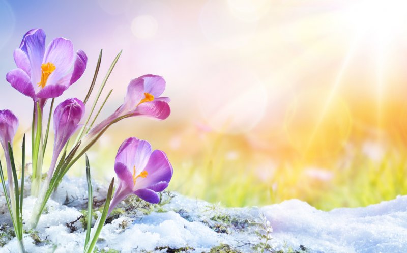 Vești noi de la meteorologi! Când vine cu adevărat primăvara