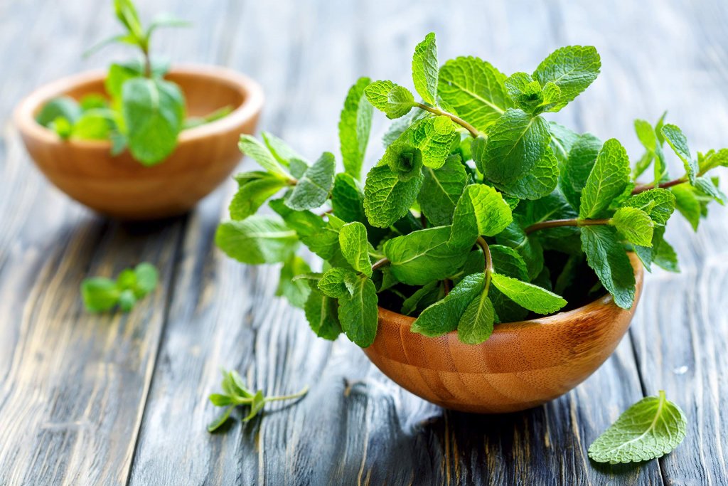 Frunzele care sunt un miracol pentru sănătate. 10 beneficii într-o plantă ce creşte în grădină