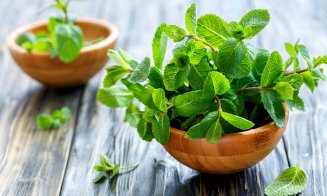 Frunzele care sunt un miracol pentru sănătate. 10 beneficii într-o plantă ce creşte în grădină