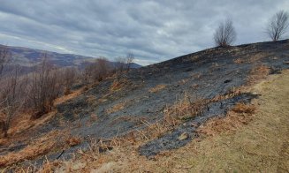 Pompierii se luptă de aproape o zi cu un incendiu care a păgubit 6 hectare