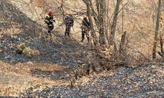 Pompierii se luptă de aproape o zi cu un incendiu care a păgubit 6 hectare