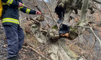 Pompierii se luptă de aproape o zi cu un incendiu care a păgubit 6 hectare