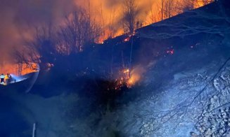 Pompierii se luptă de aproape o zi cu un incendiu care a păgubit 6 hectare