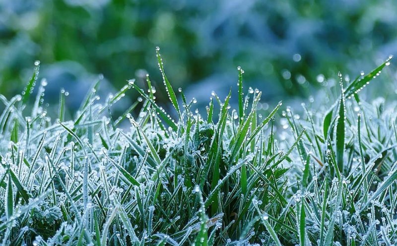 Prognoza meteo pe două săptămâni. Se întoarce iarna?