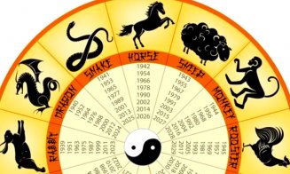 Zodiac CHINEZESC saptamana 20-26 martie 2023. Ce zodii vor primi sume consistente de bani
