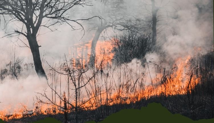 Atenție la incendiile de vegetație! Peste 900 de intervenții ale pompierilor clujeni anul trecut/ Amenzile sunt uriașe