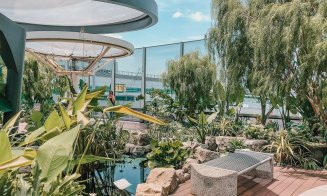 "Oscarurile" industriei aeroportuare: Care este aeroportul anului 2023