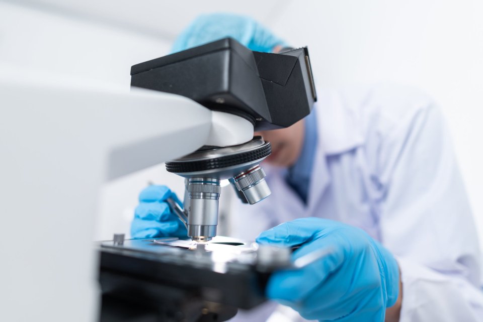 Prezența a cel puţin 10 nitrozamine în alimente, risc pentru sănătate. În ce se găsesc acești compuşi cancerigeni și genotoxici