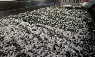 Valul POLAR a adus zăpada din nou la Cluj. Temperaturi în țară între -10 și 0 grade Celsius