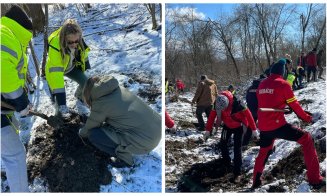 Voluntarii clujeni au plantat 2000 de copaci în zona Cheile Turzii
