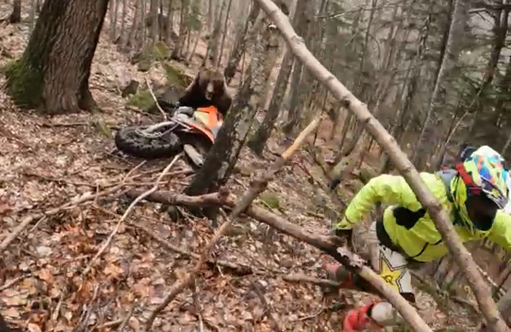 La un pas să fie sfâşiat de URS. Animalul a fost deranjat de la hibernare de amatorii de sporturi extreme în zone interzise