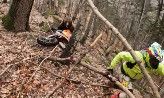 La un pas să fie sfâşiat de URS. Animalul a fost deranjat de la hibernare de amatorii de sporturi extreme în zone interzise