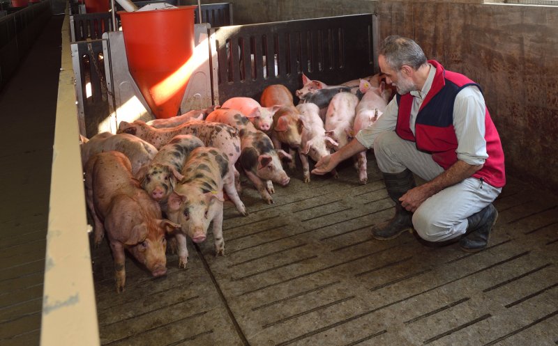 Peste 400 de fermieri primesc 105 milioane de euro de la APIA