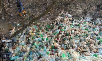 50 de saci plini cu PET-uri, 4 metri cubi de material lemnos: RECOLTĂ  pe malul unui râu din Cluj