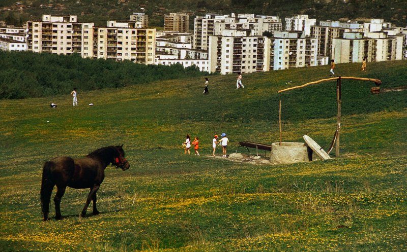 Tablou de primăvară la Cluj... Recunoașteți zona?