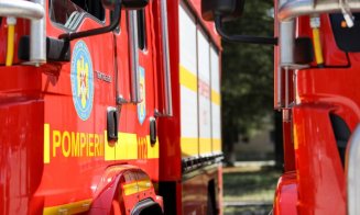 Cluj: Cal căzut într-un pârâu. Intervin pompierii