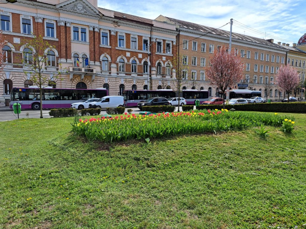 ziua-de-cluj-autobuze-publice-pe-3-linii-din-cartierele-principale