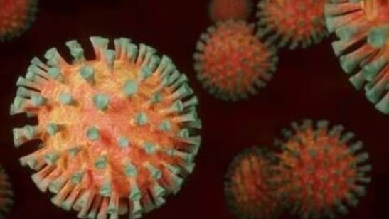 A apărut Arcturus, o nouă variantă COVID, mult mai INFECȚIOASĂ decât Omicron/ Ce simptome dă infecția cu XBB.1.6