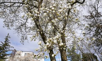 IMAGINI SUPERBE din Grădina Botanică a Clujului. E deschisă și de Paște!