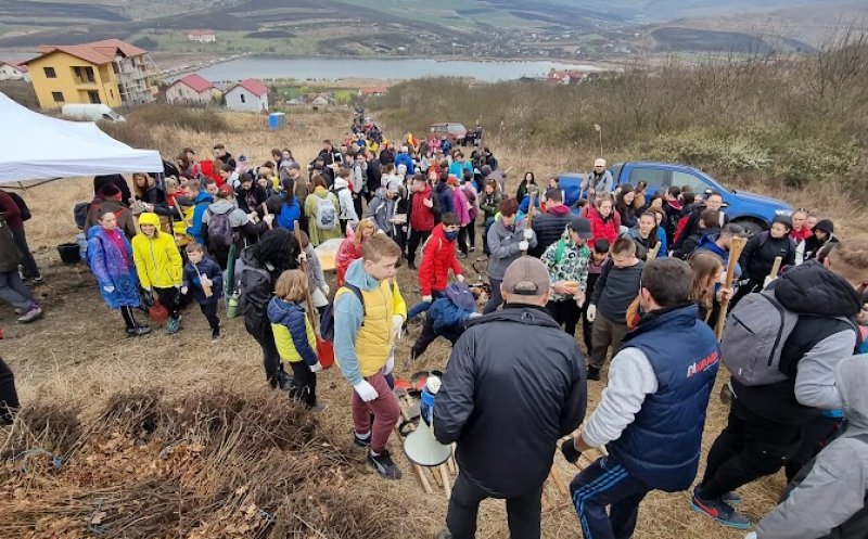 Marea împădurire din Câmpenești! Primarul Apahidei a anunțat toate detaliile
