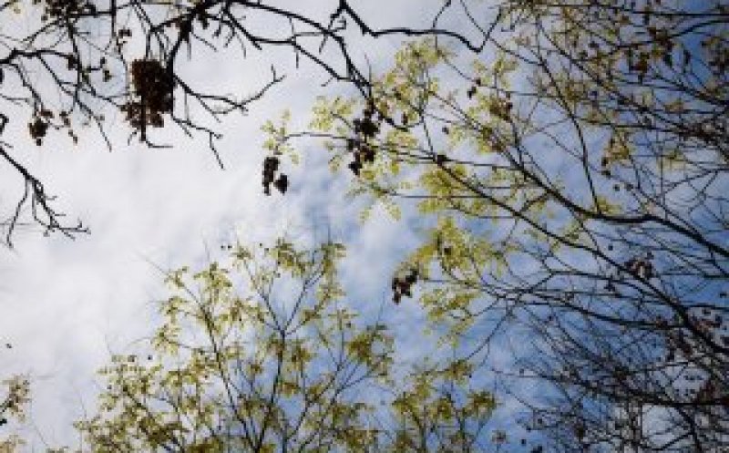 Schimbare radicală a vremii! Meteorologii anunță frig, ploi și grindină