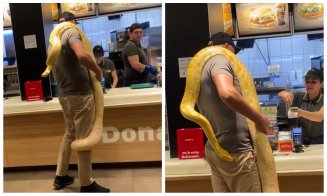 Scene incredibile. S-a dus la fast-food cu un șarpe gigantic la gât / „Nu mai stă nimeni la coadă acum”