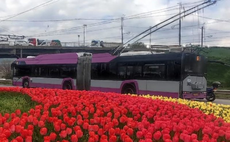 Suplimentare pe 11 linii de transport din oraș. CTP Cluj-Napoca: "Se dă startul sezonului estival"