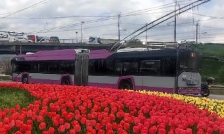 Suplimentare pe 11 linii de transport din oraș. CTP Cluj-Napoca: "Se dă startul sezonului estival"