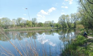 Turg ghidat în Parcul Est: trebuie integrat într-un inel sudic verde, e amenințat major de depozite de gunoaie