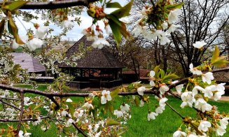 Parcul Etnografic „Romulus Vuia” din Cluj, inclus în ruta turistică a muzeelor în aer liber din România
