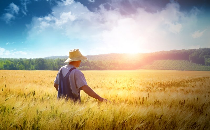 Ministrul Agriculturii: Fermierii afectați de importurile de cereale din Ucraina mai primesc aproape 30 mil. euro de la Comisia Europeană