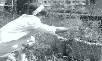 Vechiul Cluj: pe timpuri, laptele era adus acasă zi de zi