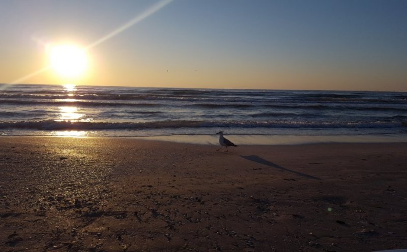 A început "Litoralul pentru Toți"! Cât costă o noapte de cazare la mare