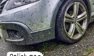 Geamuri sparte, zgârieturi şi "polish ECO":  Au intrat "la treabă" oamenii "cu coasa" în Cluj-Napoca