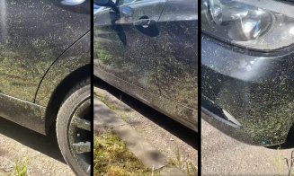 Geamuri sparte, zgârieturi şi "polish ECO":  Au intrat "la treabă" oamenii "cu coasa" în Cluj-Napoca