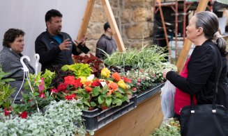 Strada Potaissa din Cluj-Napoca înfloreşte! Intrare gratuită la PIAȚA de FLORI / Invitaţie la ”Masa bunei vecinătăți”