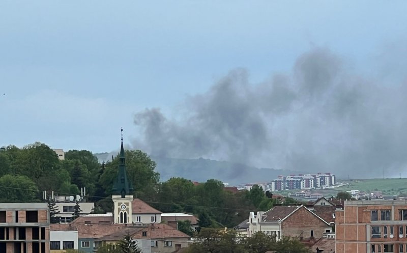 INCENDIU în zona Tăietura Turcului. Fumul, vizibil în tot orașul
